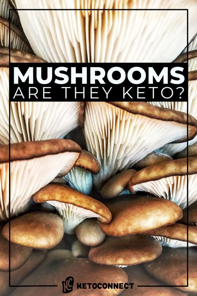 Smart Ways to Elevate Your Keto ACV Routine in 2025