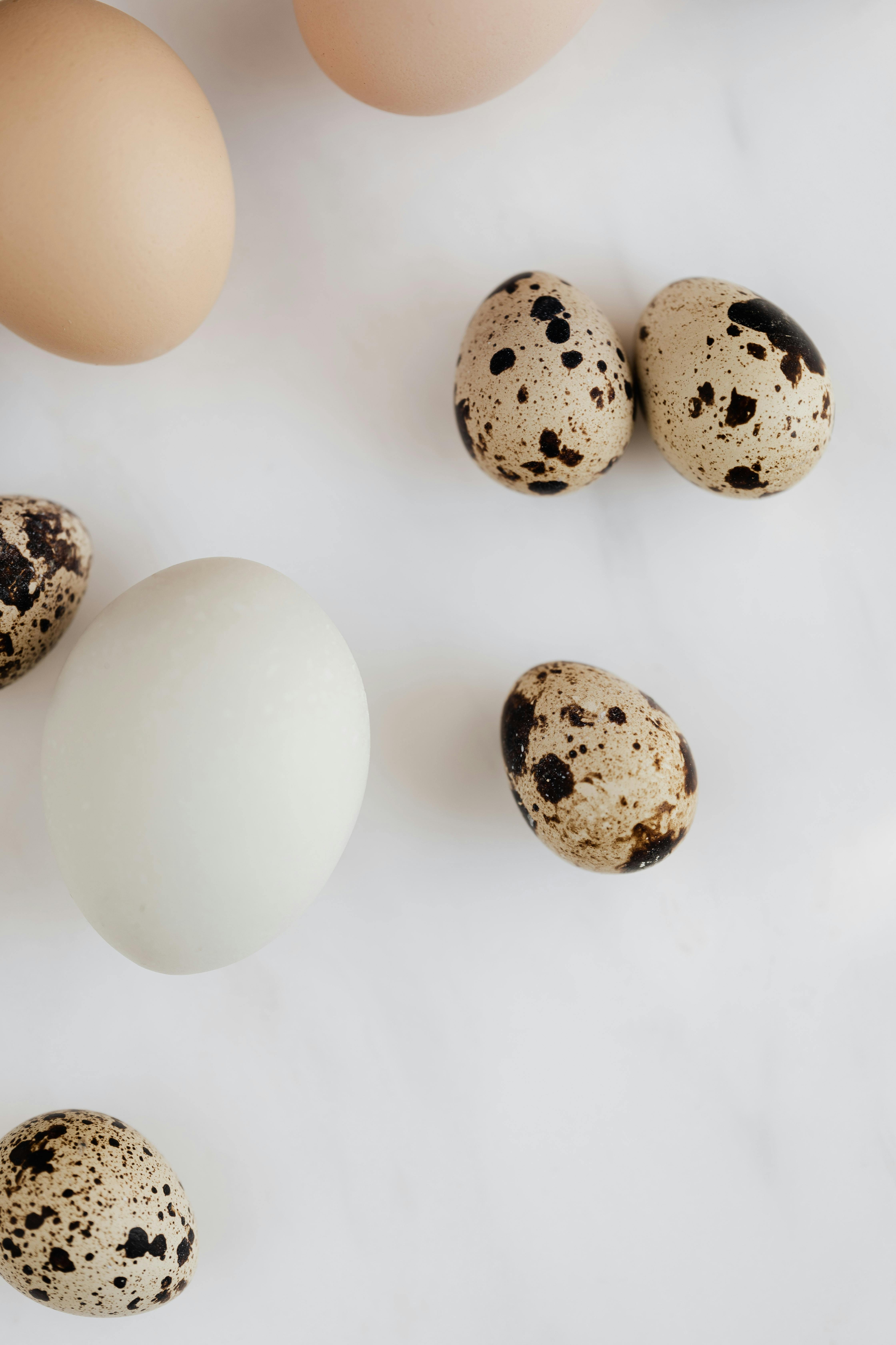 Smart Guide to Keto Pure: Effective Solutions for 2025
