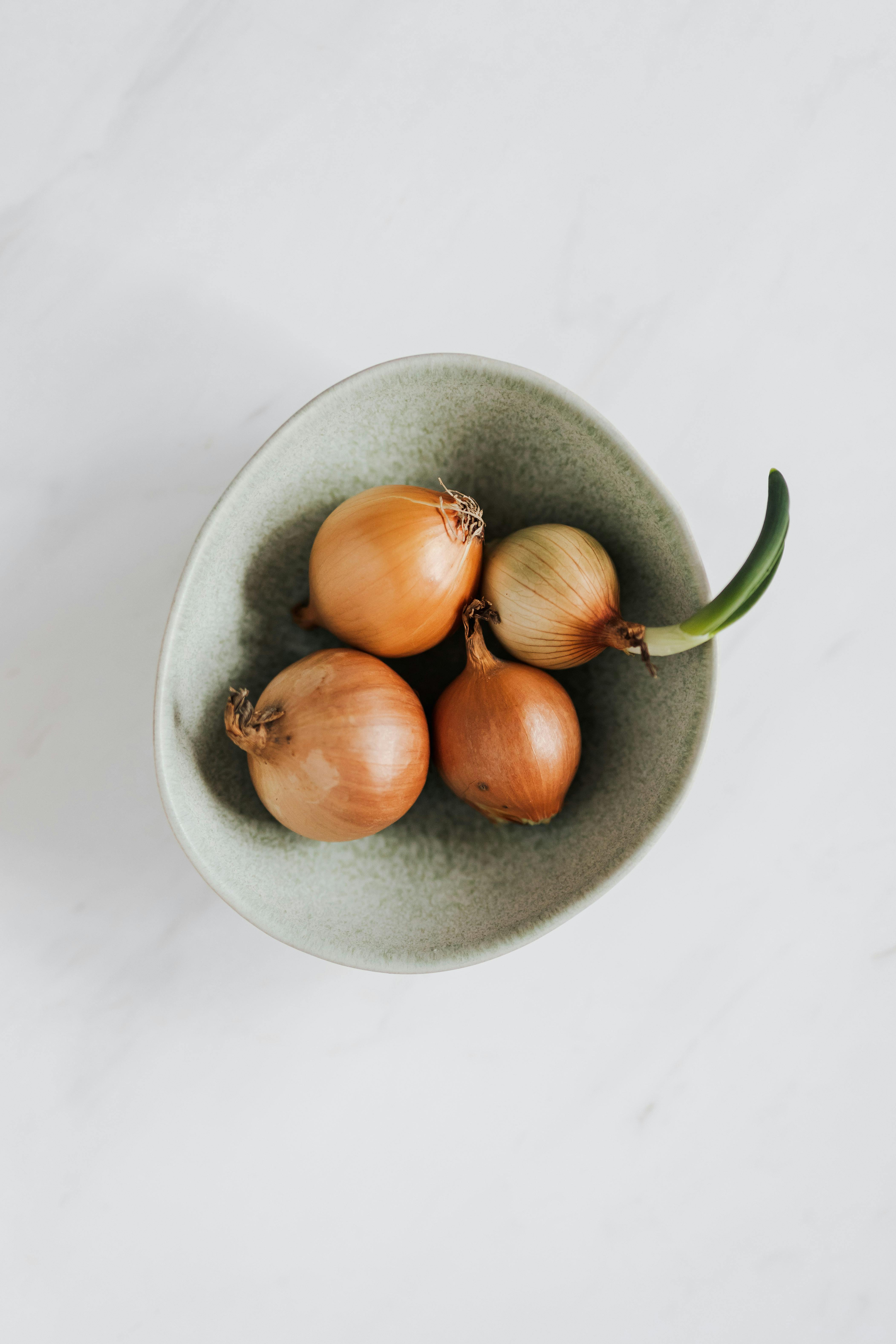 Complete Guide to Dr. Now Diet Plan for Heart Health in 2025