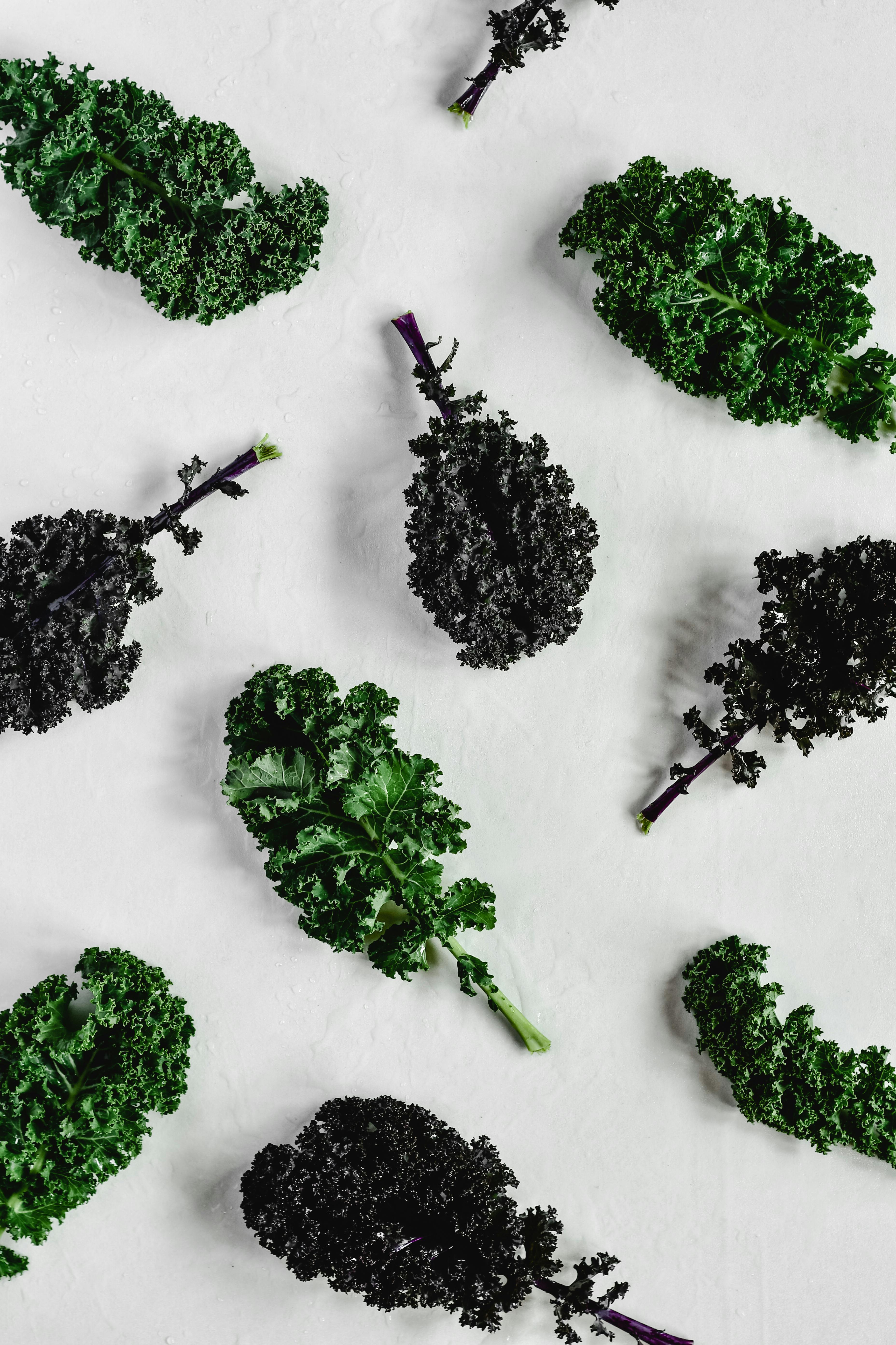 Effective Ways to Streamline Keto Frozen Meals for Quick Results in 2025
