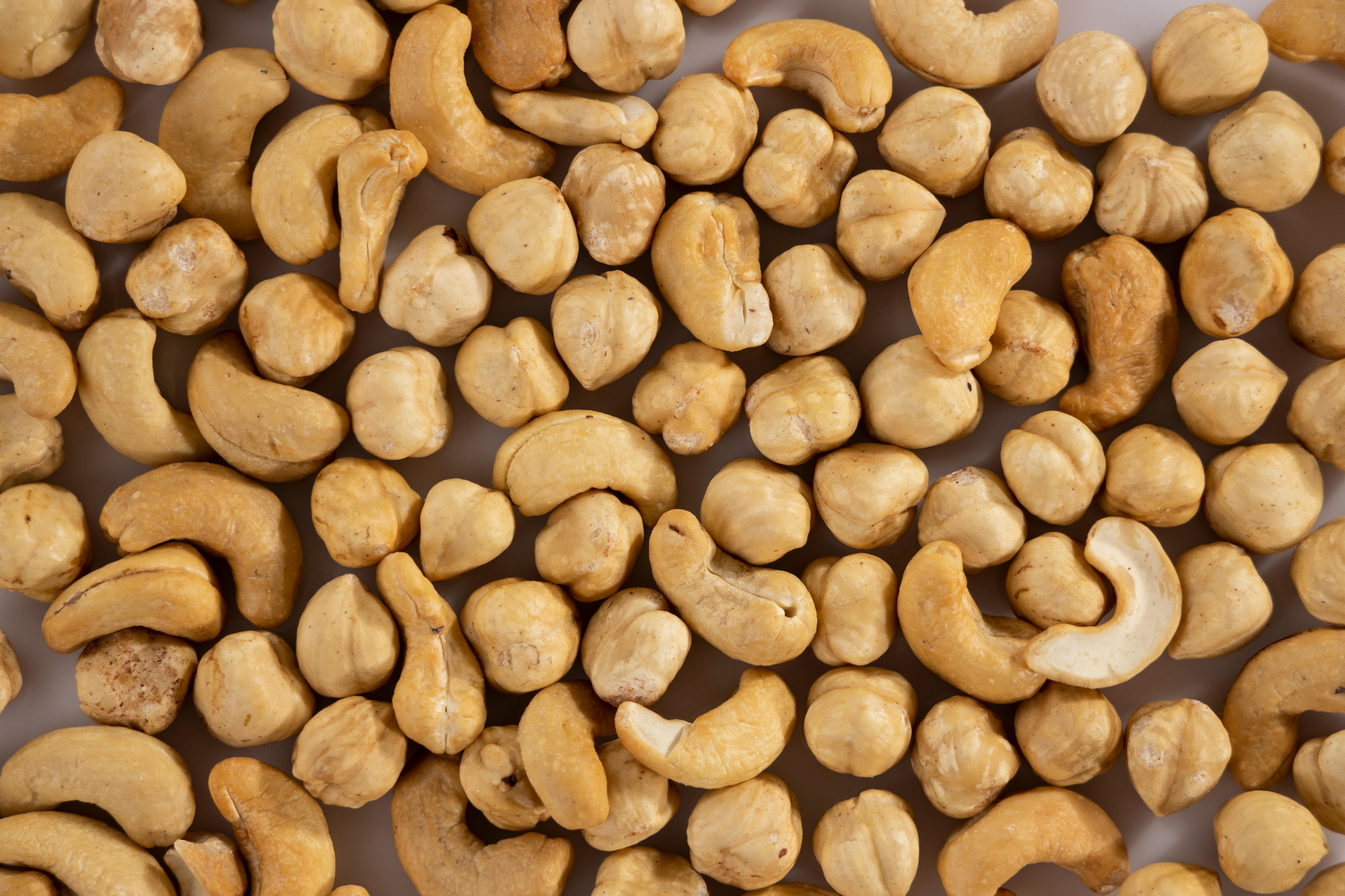 Best 5 Keto Friendly Protein Powders to Consider in 2025