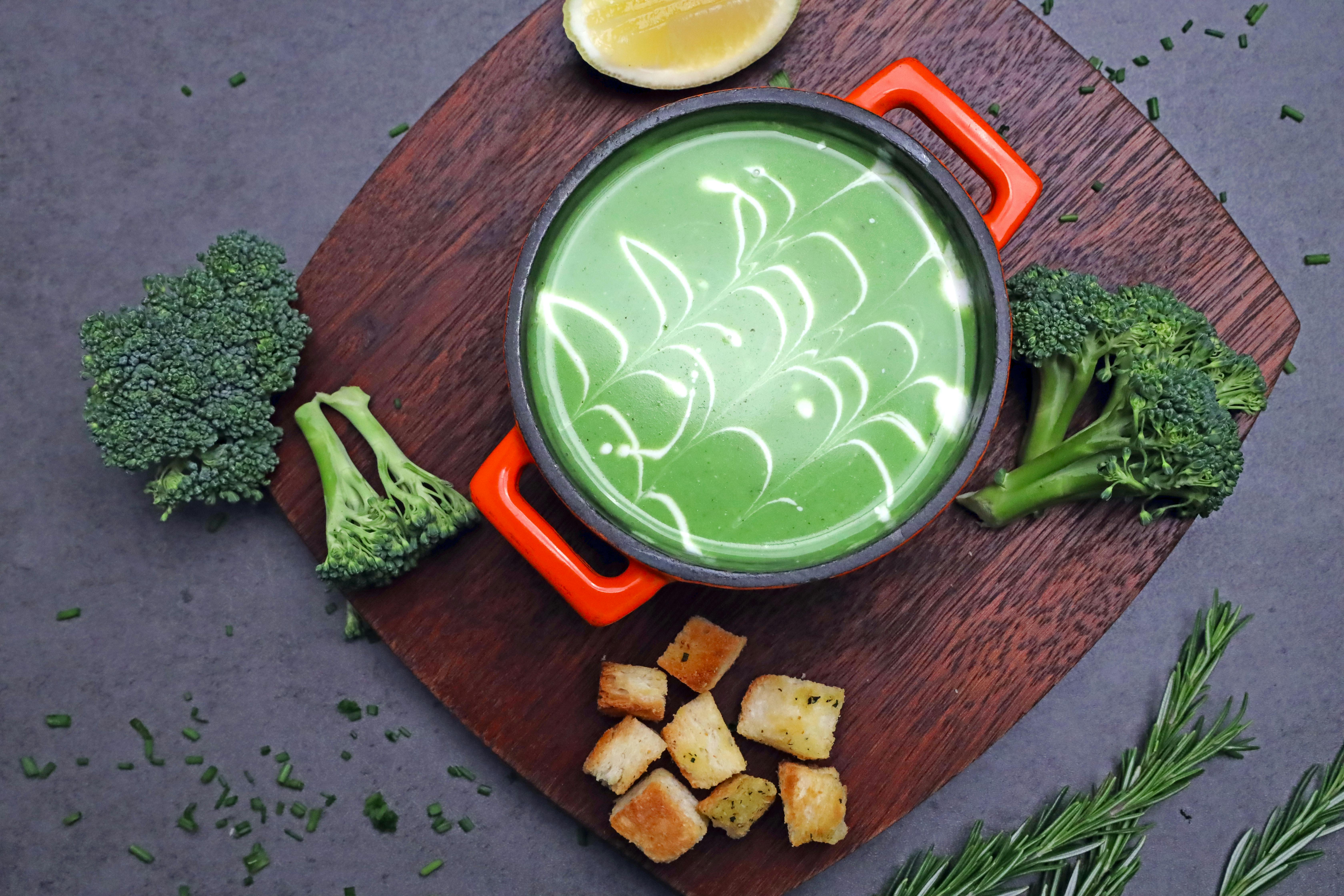 Best 5 Foods for Octopus to Consider in 2025