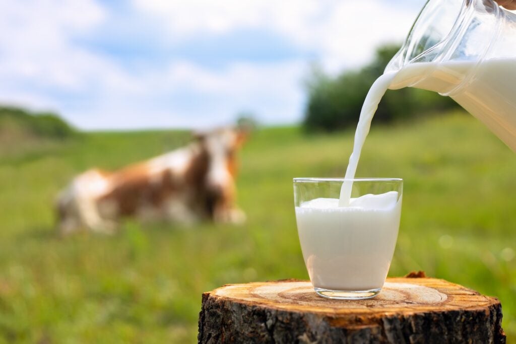 Smart Ways to Enjoy Keto-Friendly Milk Alternatives in 2025