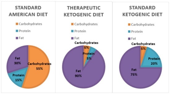 Ketogenesis Overview